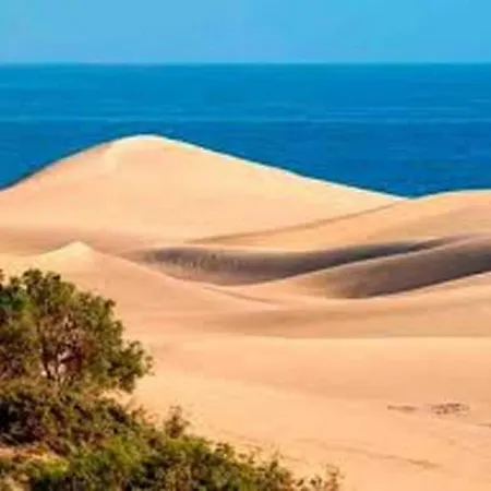 Vakantiehuis Charming With Pool In Maspalomas *